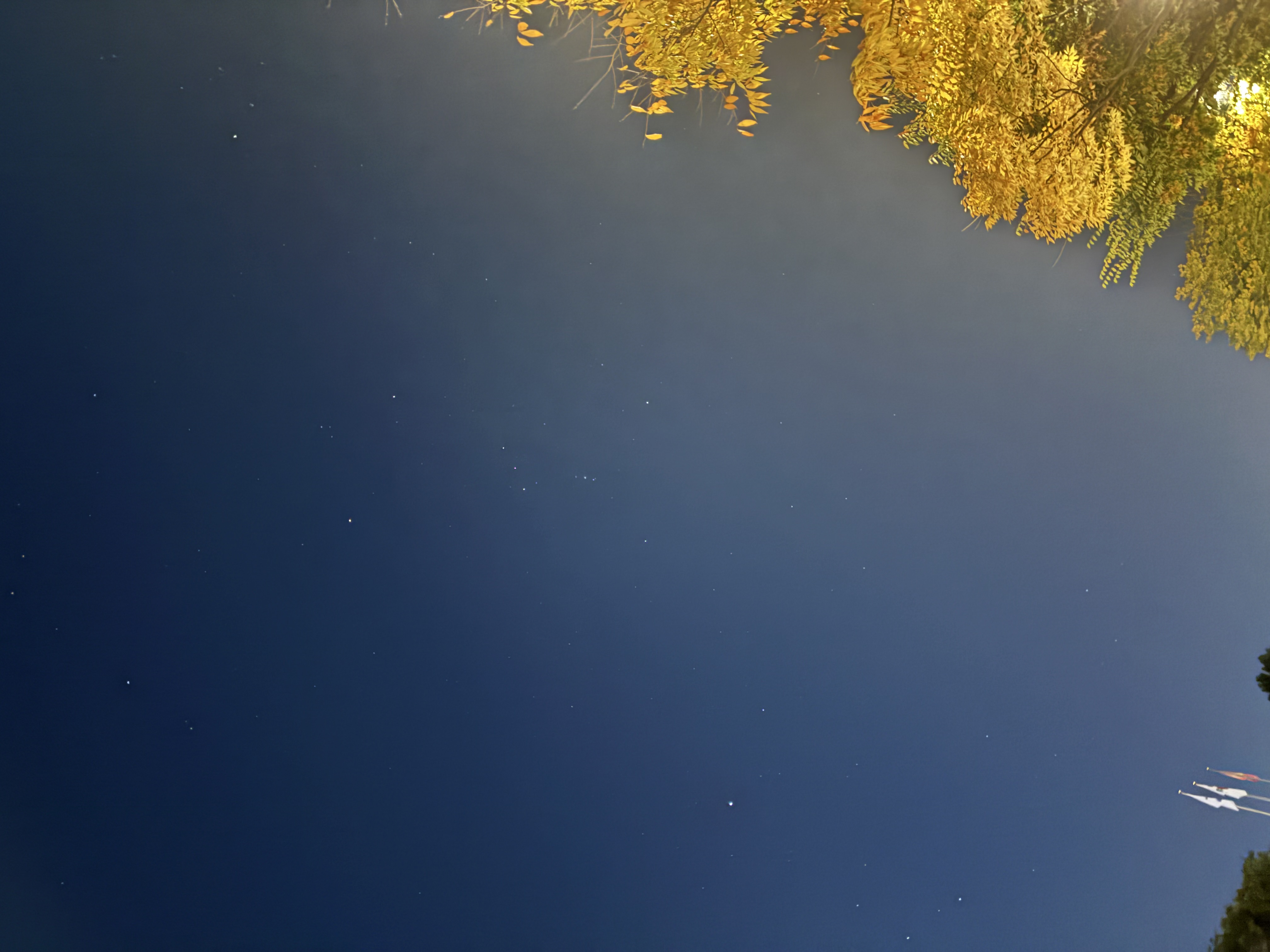 img alt="autumn-night"